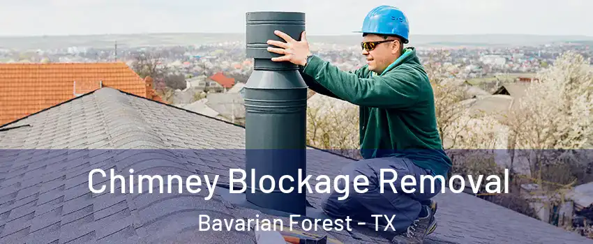 Chimney Blockage Removal Bavarian Forest - TX