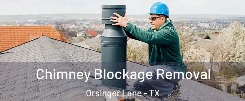 Chimney Blockage Removal Orsinger Lane - TX