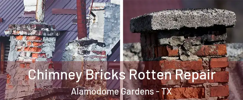 Chimney Bricks Rotten Repair Alamodome Gardens - TX