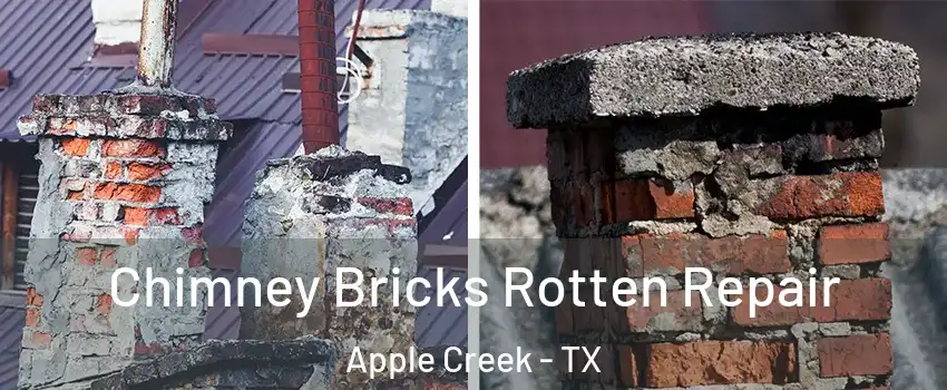 Chimney Bricks Rotten Repair Apple Creek - TX