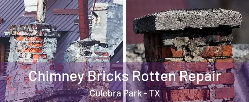 Chimney Bricks Rotten Repair Culebra Park - TX