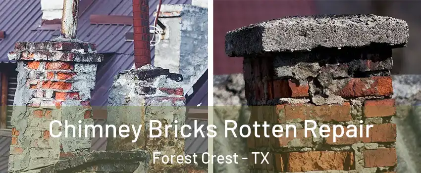 Chimney Bricks Rotten Repair Forest Crest - TX