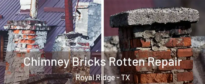 Chimney Bricks Rotten Repair Royal Ridge - TX