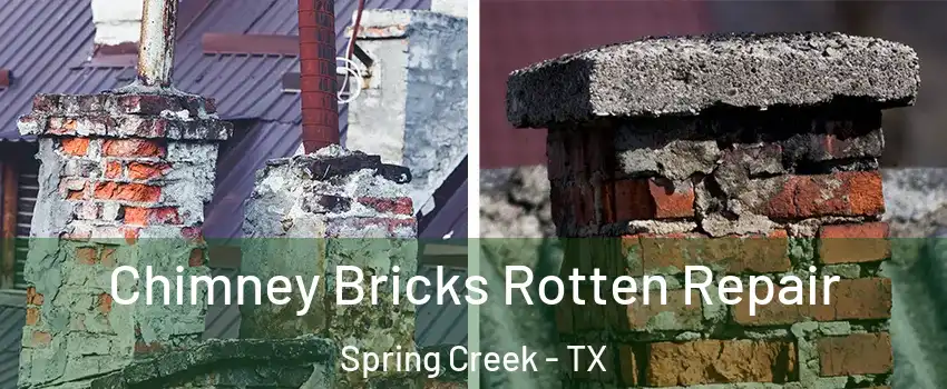 Chimney Bricks Rotten Repair Spring Creek - TX