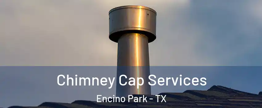 Chimney Cap Services Encino Park - TX