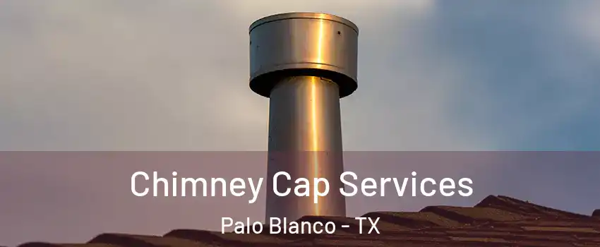 Chimney Cap Services Palo Blanco - TX