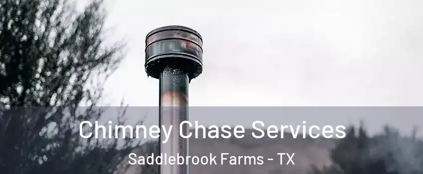 Chimney Chase Services Saddlebrook Farms - TX