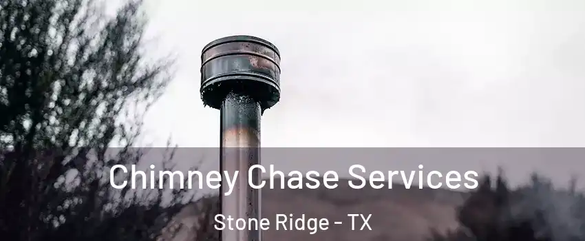 Chimney Chase Services Stone Ridge - TX