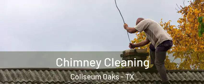 Chimney Cleaning Coliseum Oaks - TX