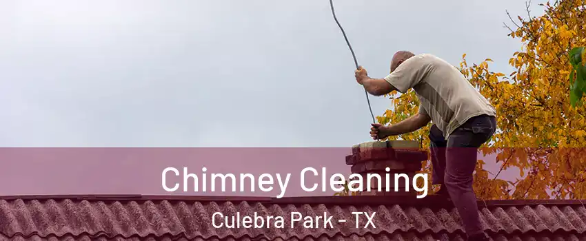 Chimney Cleaning Culebra Park - TX