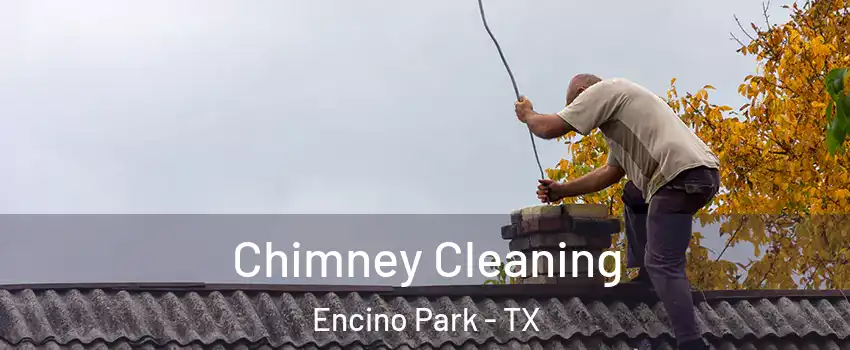 Chimney Cleaning Encino Park - TX