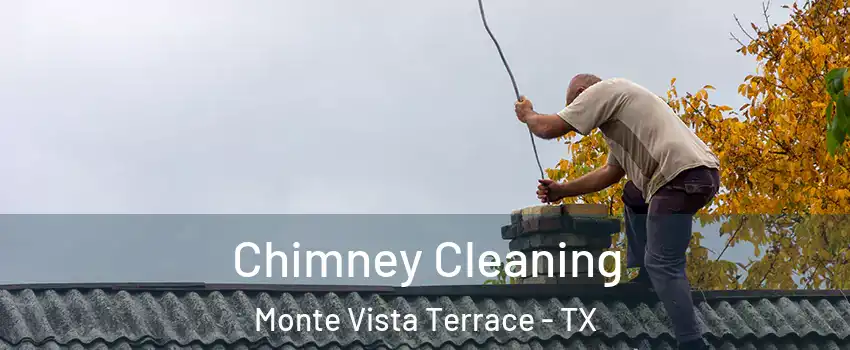 Chimney Cleaning Monte Vista Terrace - TX