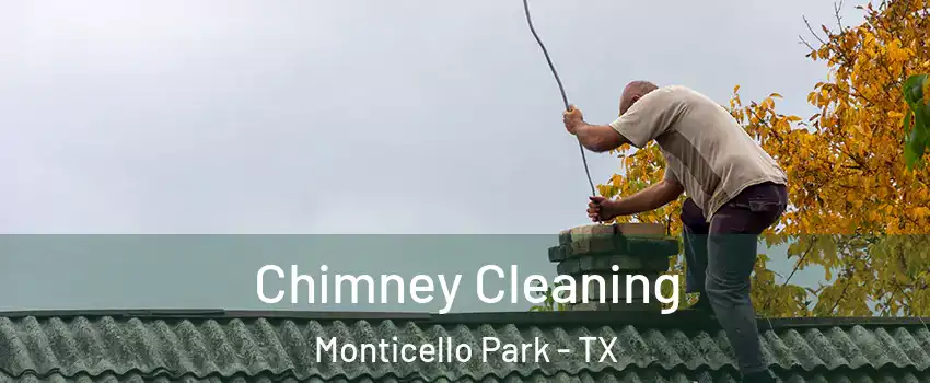 Chimney Cleaning Monticello Park - TX