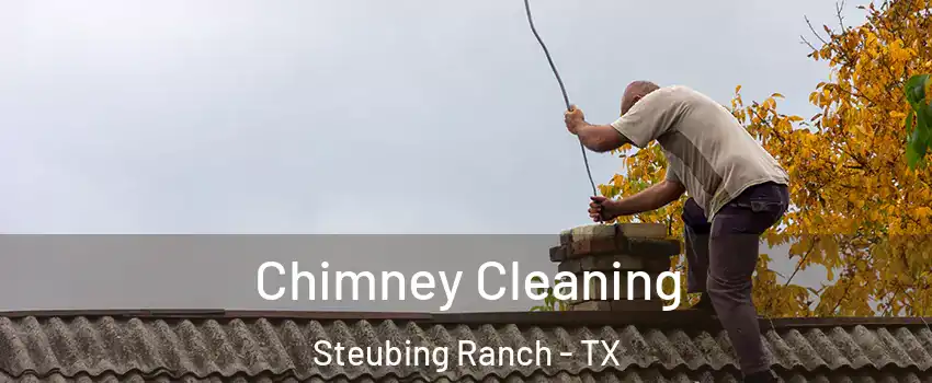 Chimney Cleaning Steubing Ranch - TX