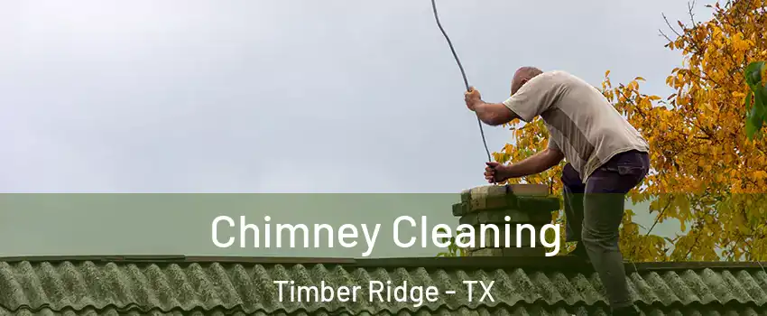 Chimney Cleaning Timber Ridge - TX