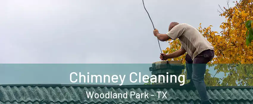 Chimney Cleaning Woodland Park - TX