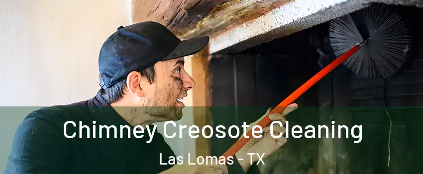 Chimney Creosote Cleaning Las Lomas - TX