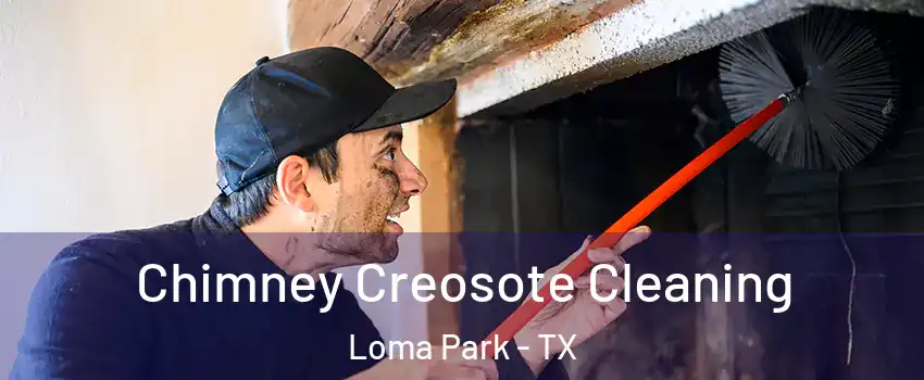 Chimney Creosote Cleaning Loma Park - TX