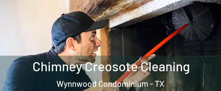 Chimney Creosote Cleaning Wynnwood Condominium - TX