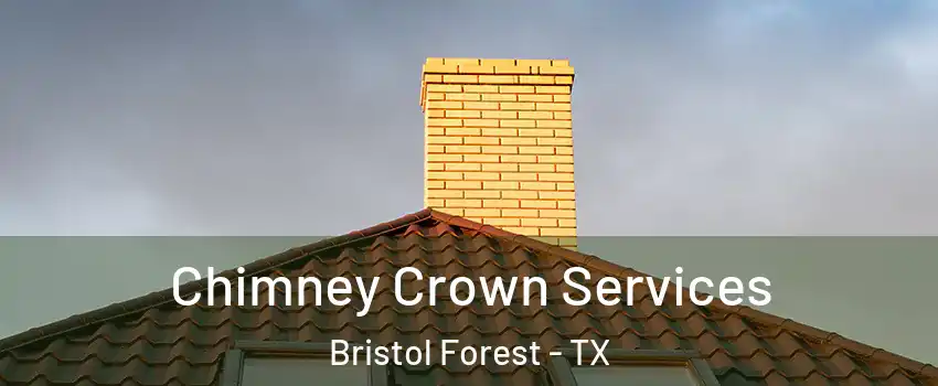 Chimney Crown Services Bristol Forest - TX