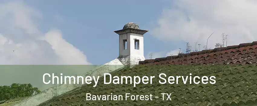 Chimney Damper Services Bavarian Forest - TX