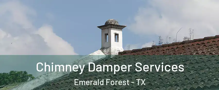 Chimney Damper Services Emerald Forest - TX