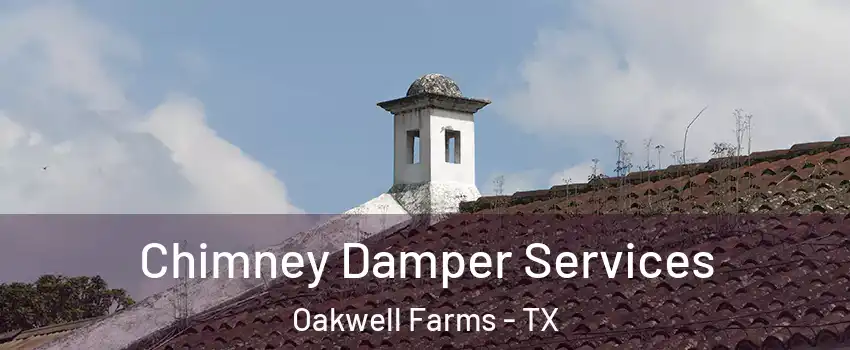 Chimney Damper Services Oakwell Farms - TX