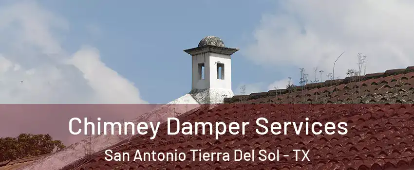 Chimney Damper Services San Antonio Tierra Del Sol - TX