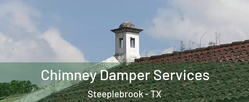 Chimney Damper Services Steeplebrook - TX