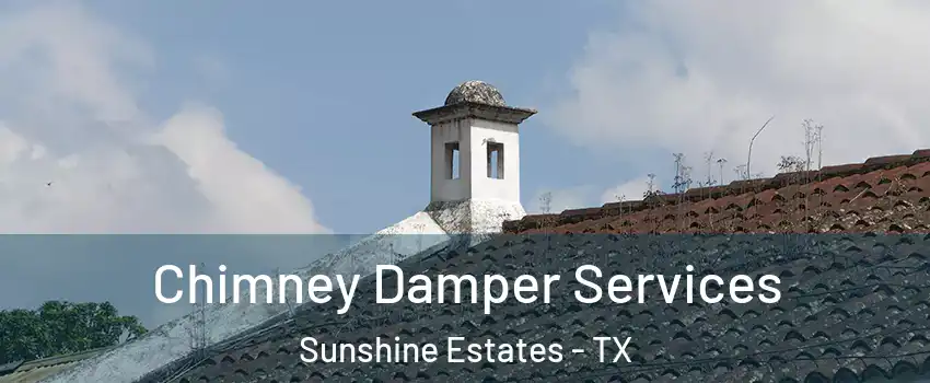 Chimney Damper Services Sunshine Estates - TX