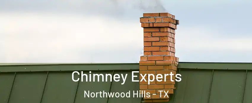 Chimney Experts Northwood Hills - TX