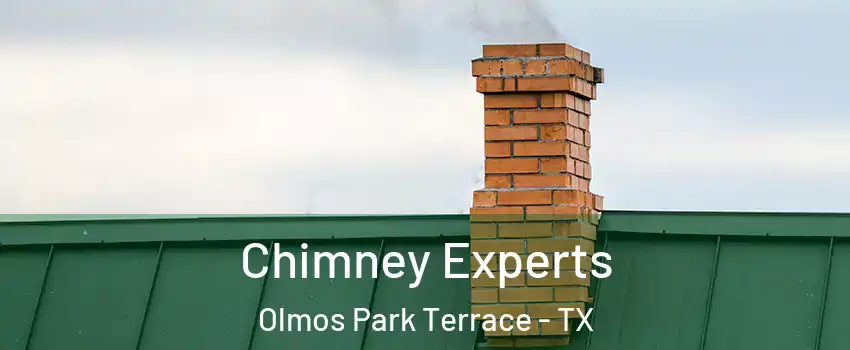 Chimney Experts Olmos Park Terrace - TX