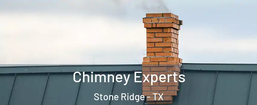 Chimney Experts Stone Ridge - TX