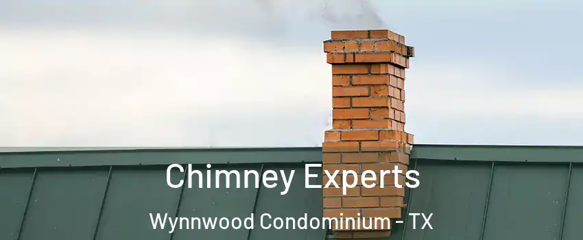 Chimney Experts Wynnwood Condominium - TX