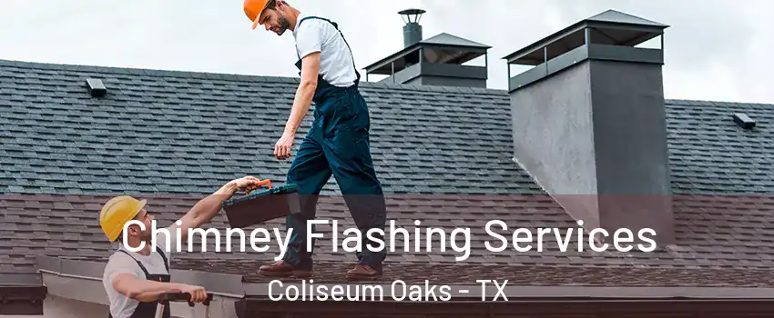 Chimney Flashing Services Coliseum Oaks - TX