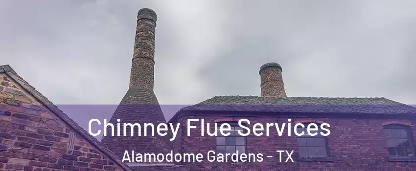 Chimney Flue Services Alamodome Gardens - TX