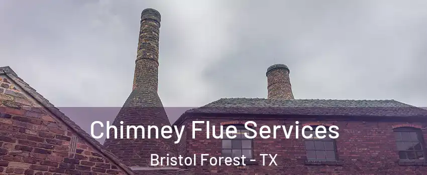 Chimney Flue Services Bristol Forest - TX