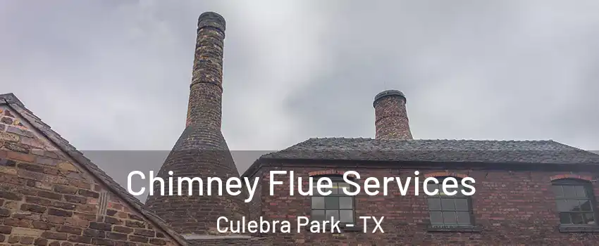 Chimney Flue Services Culebra Park - TX