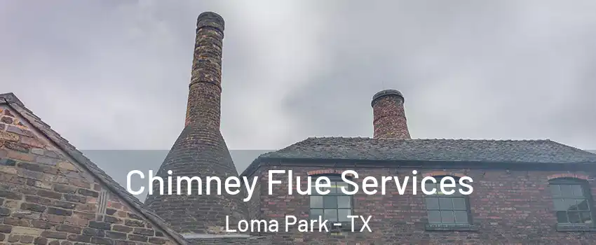 Chimney Flue Services Loma Park - TX