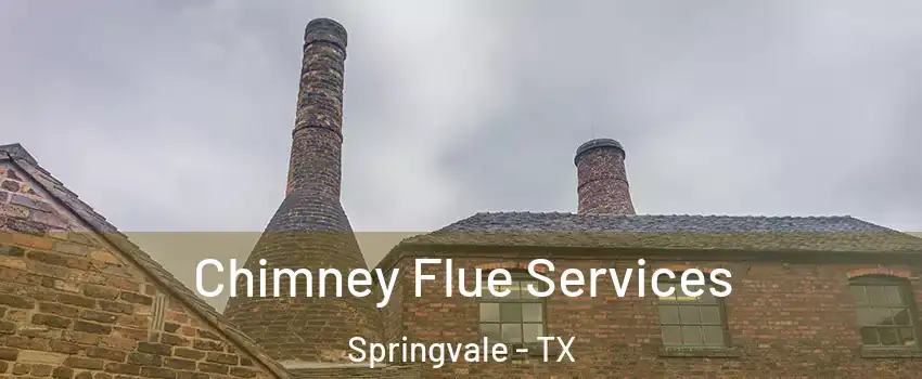 Chimney Flue Services Springvale - TX