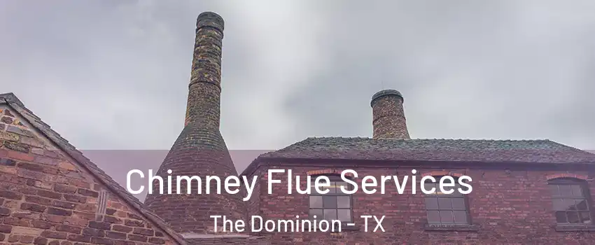 Chimney Flue Services The Dominion - TX