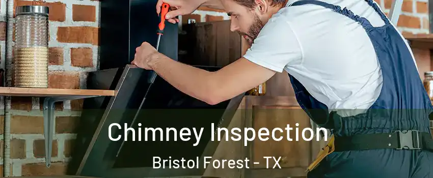 Chimney Inspection Bristol Forest - TX