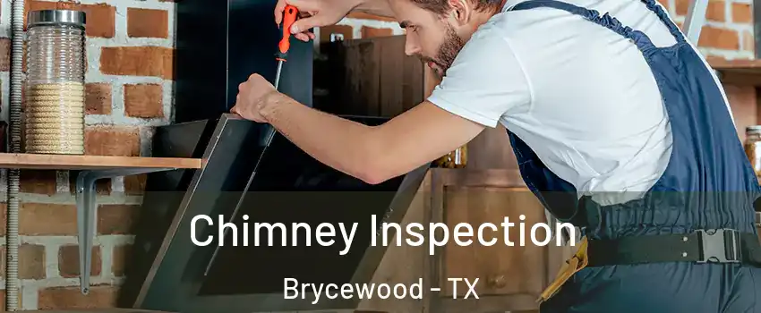 Chimney Inspection Brycewood - TX