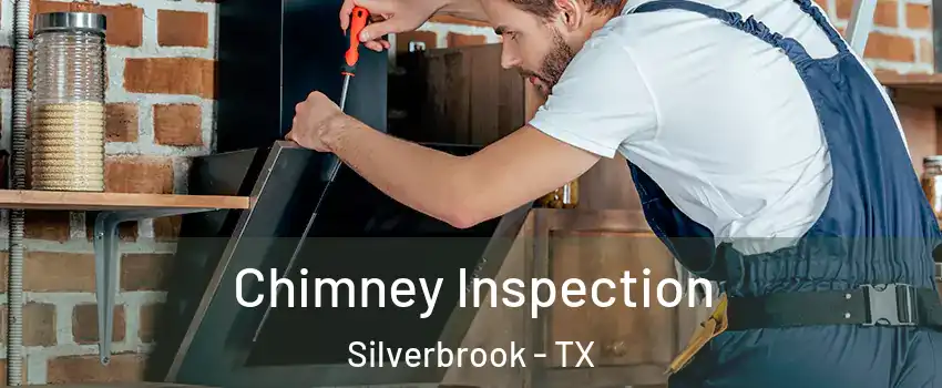 Chimney Inspection Silverbrook - TX