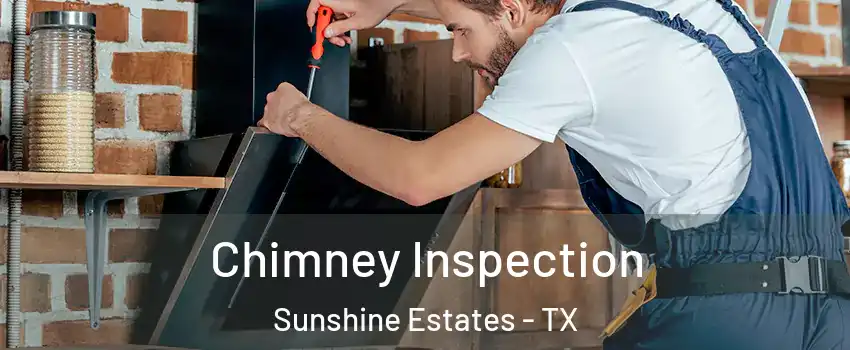 Chimney Inspection Sunshine Estates - TX