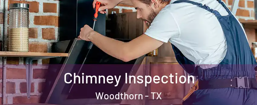 Chimney Inspection Woodthorn - TX