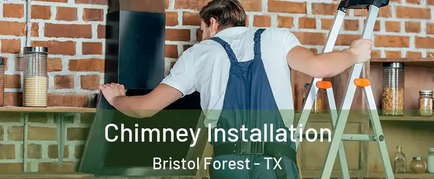 Chimney Installation Bristol Forest - TX