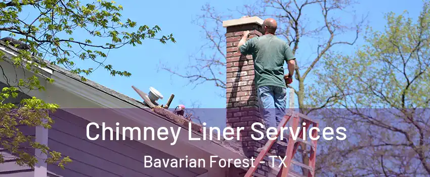 Chimney Liner Services Bavarian Forest - TX