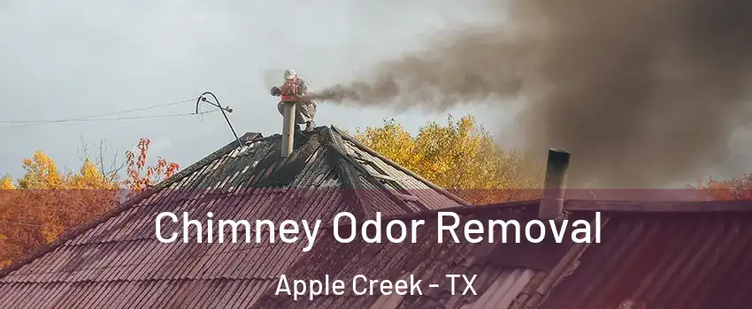 Chimney Odor Removal Apple Creek - TX