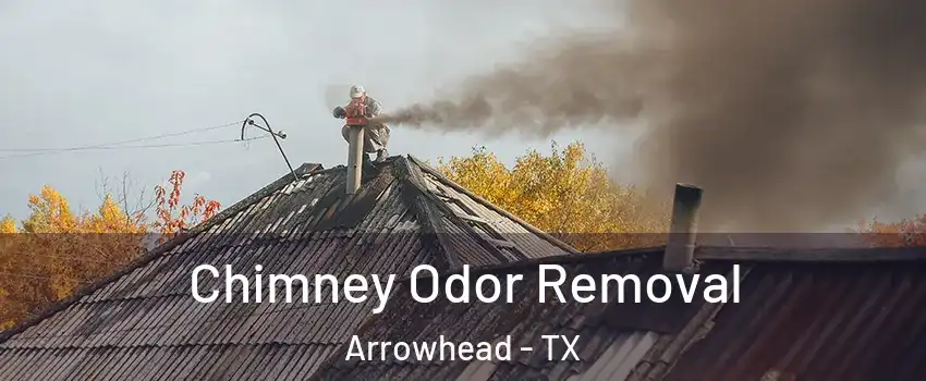 Chimney Odor Removal Arrowhead - TX